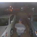 Car Burglar
