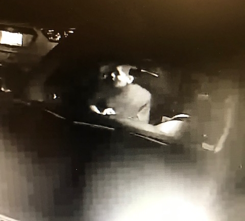 Killeen Police Needs your Help Identifying this Burglar