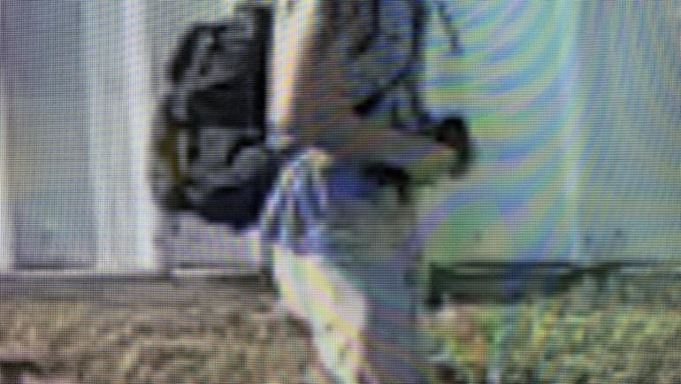 The Bell County Crime Stoppers and the Killeen Police Department Seek Your Help in Identifying a Burglar